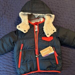 NWT Patagonia lined jacket with hood size 6-12 months